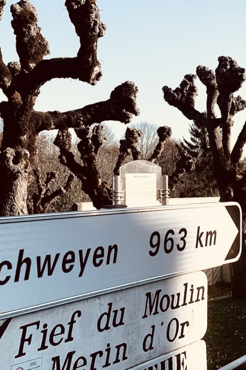 Beauty is Truth: A Tale of Covid in Two Cities
